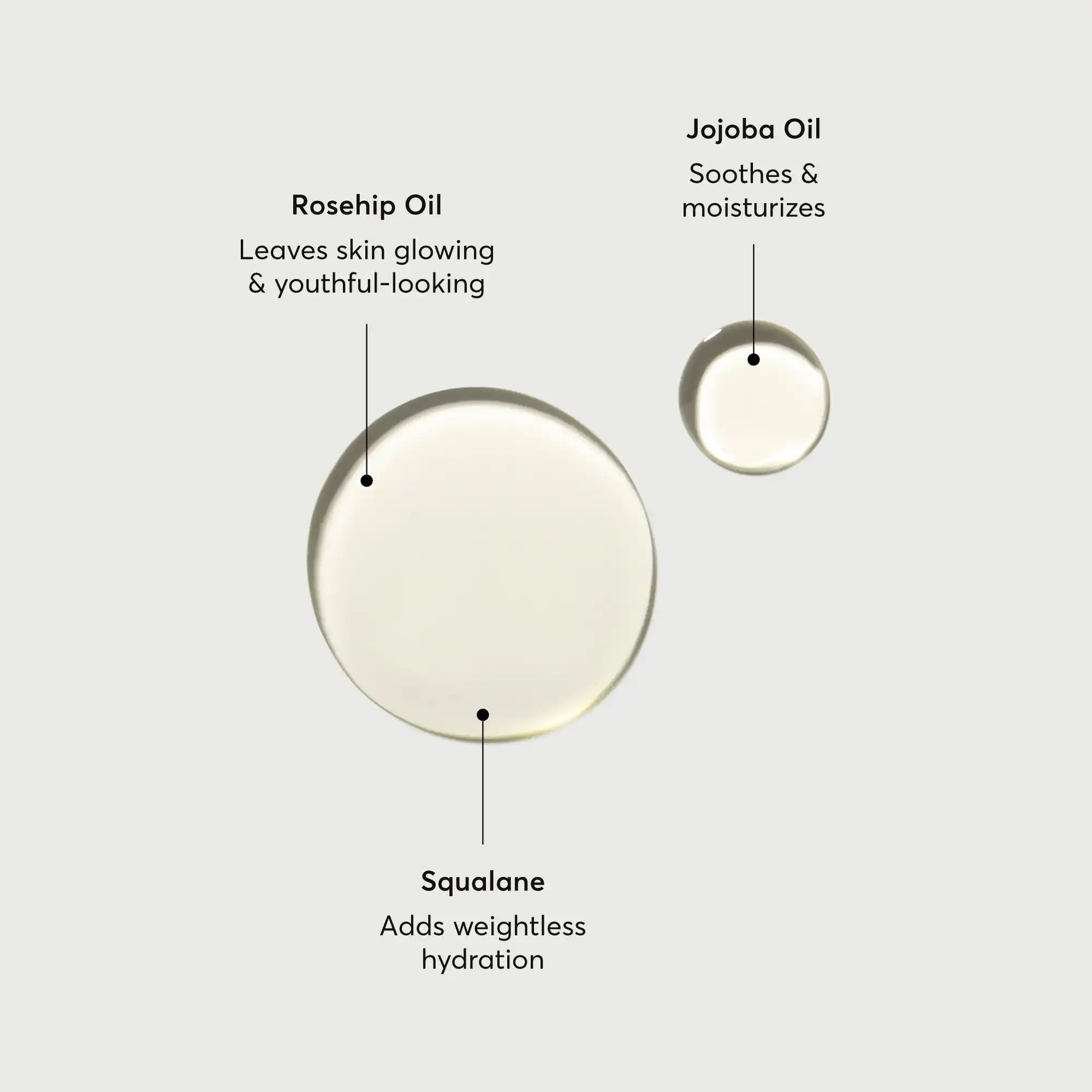 the-glow-getter-body-oil-q5 NATR-10115-Alt-Images-The-Glow-Getter-Body-Oil-01.webp