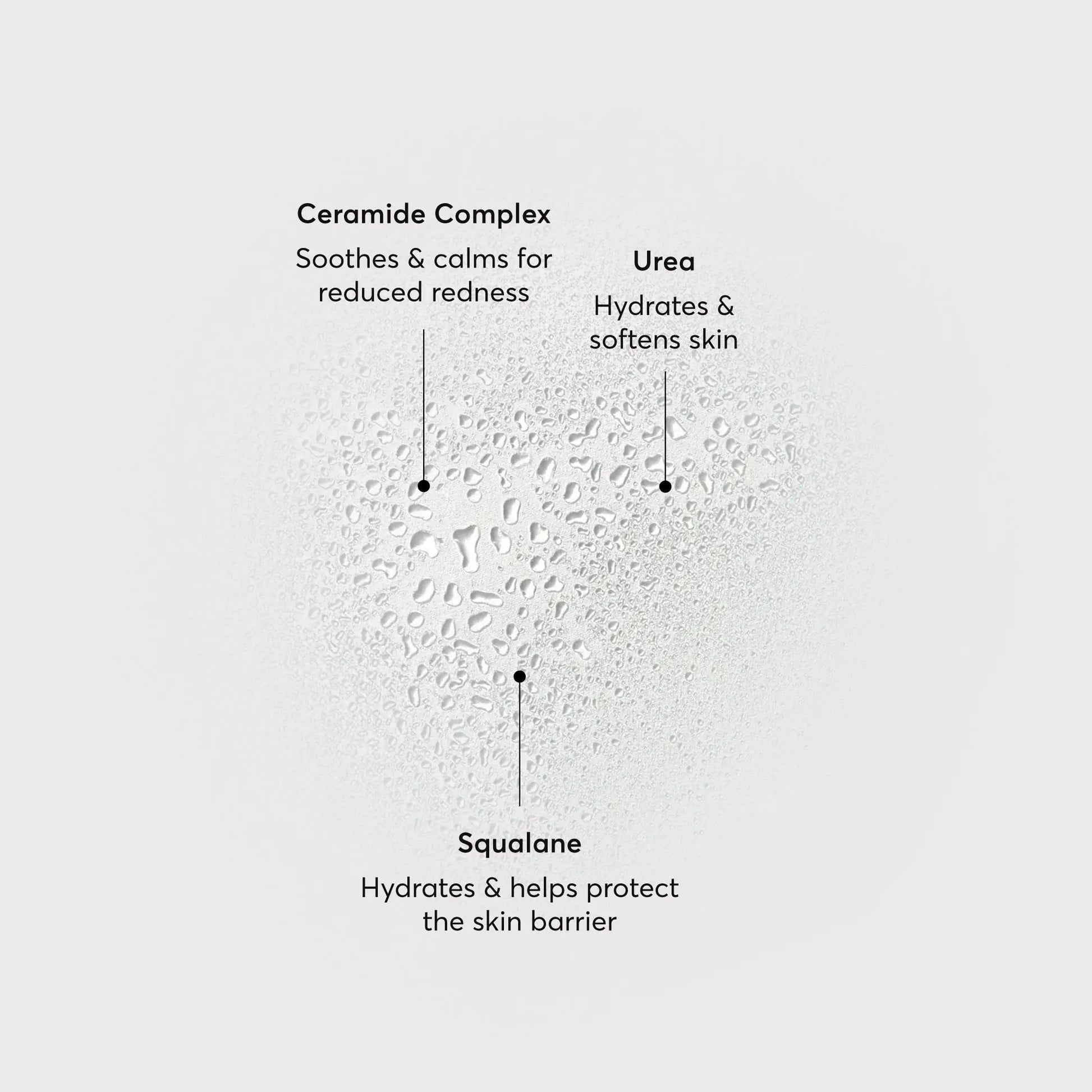 barrier-bounce-bi-phase-mist-m4 NATR-10167-Alt-Images-Barrier-Bounce-Bi-Phase-Toner-Mist_01.webp
