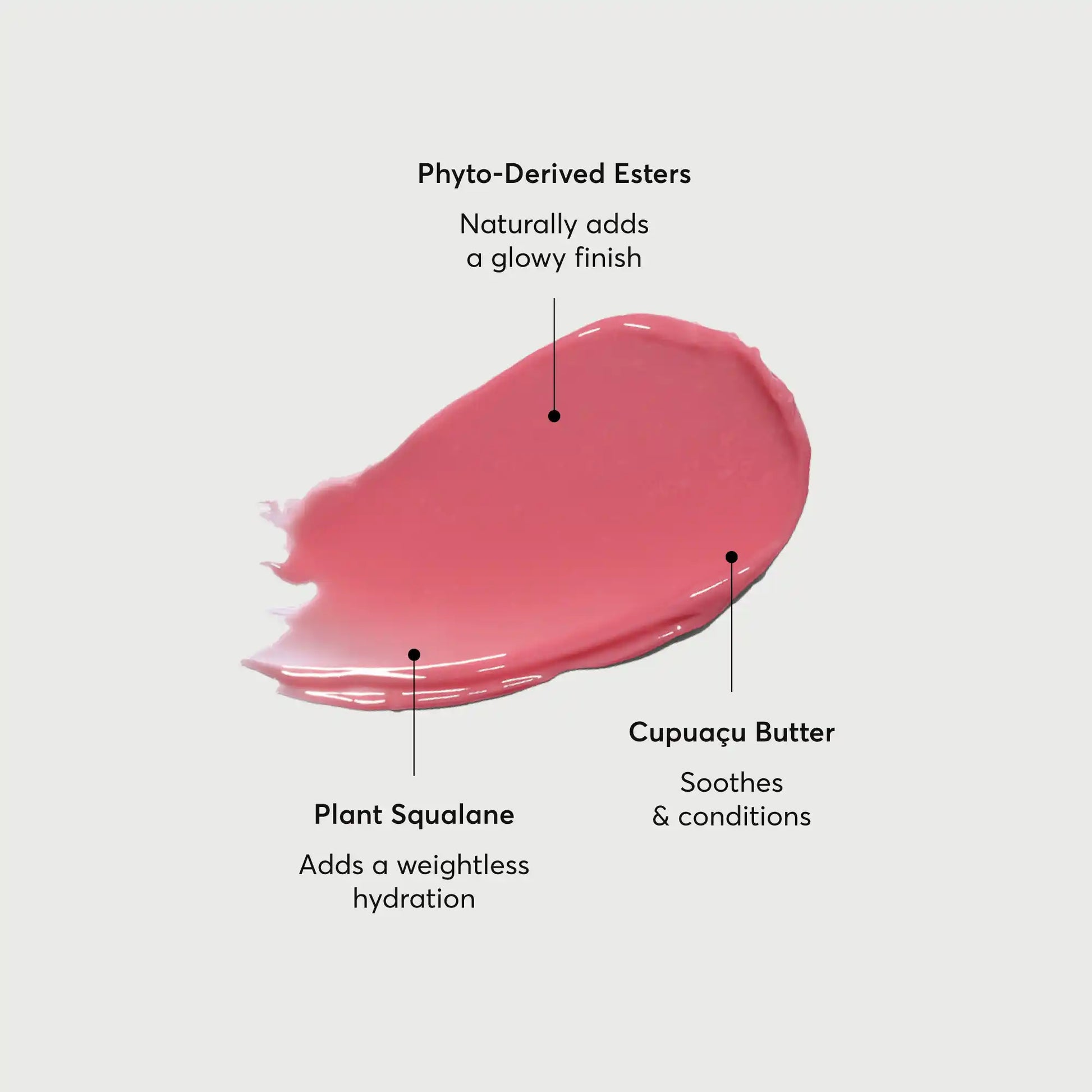 phyto-glow-lip-balm-petal-c5 NATR-60067-Alt-Images-Phyto-Glow-Lip-Balm-Petal-01.webp
