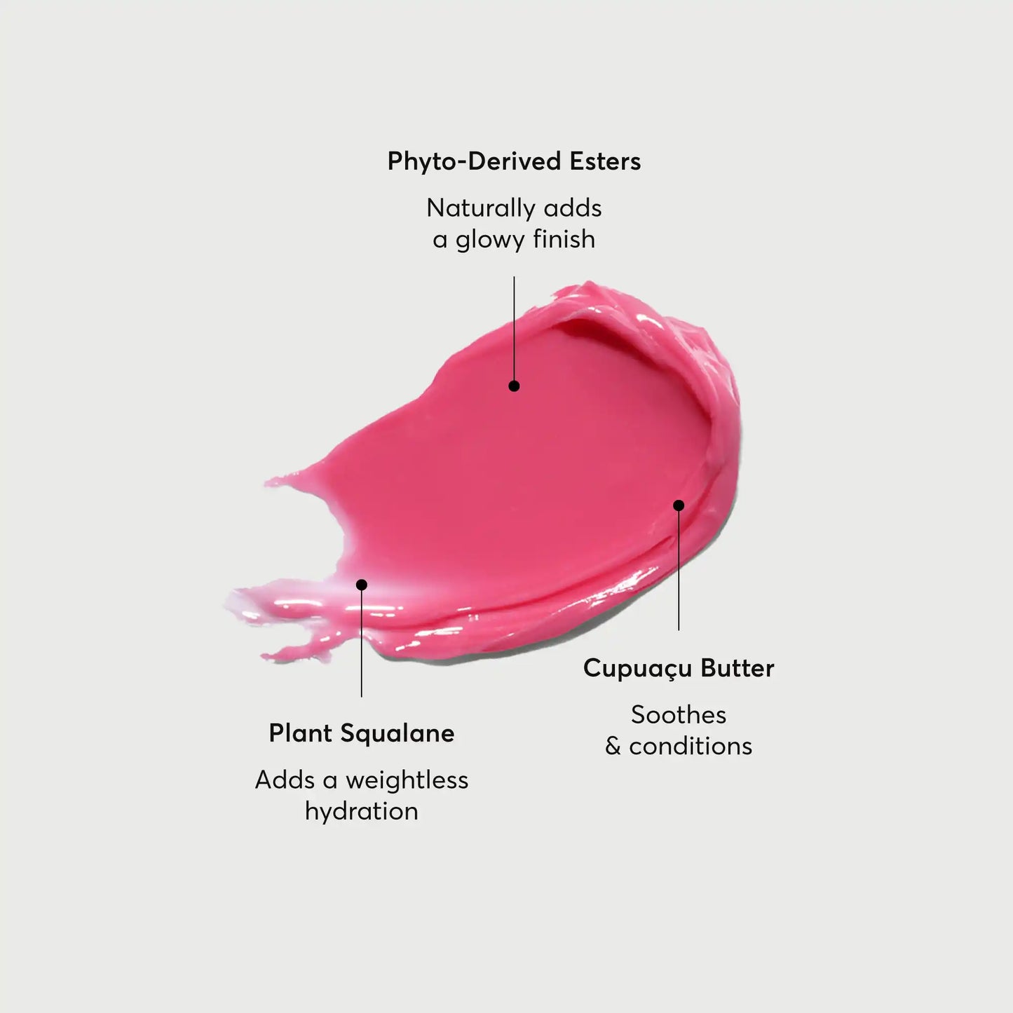 phyto-glow-lip-balm-camellia-i8 NATR-60075-Alt-Images-Phyto-Glow-Lip-Balm-Camellia-01.webp